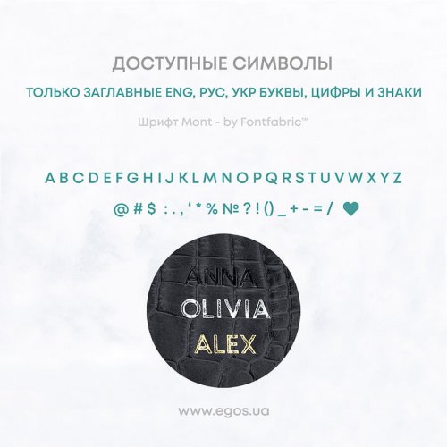 Багажная бирка Earth 